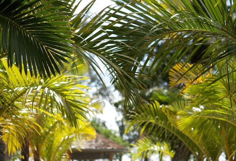 Szálloda Le Recif, Ile De La Reunion