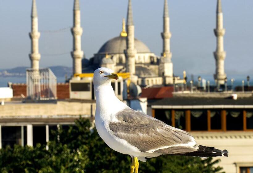 Fotos del hotel Nowy Efendi   Special Category:  39