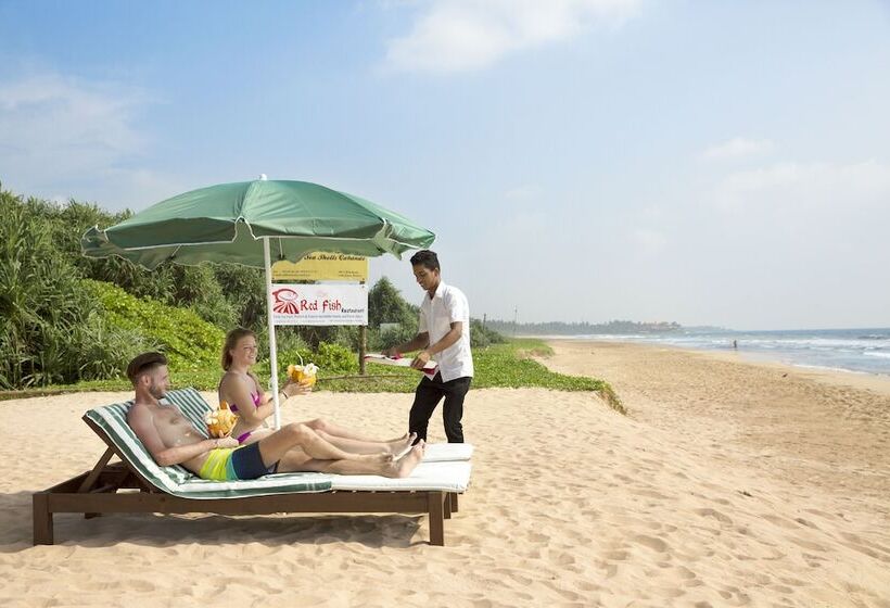 هتل Palm Beach Inn &sea Shells Cabanas