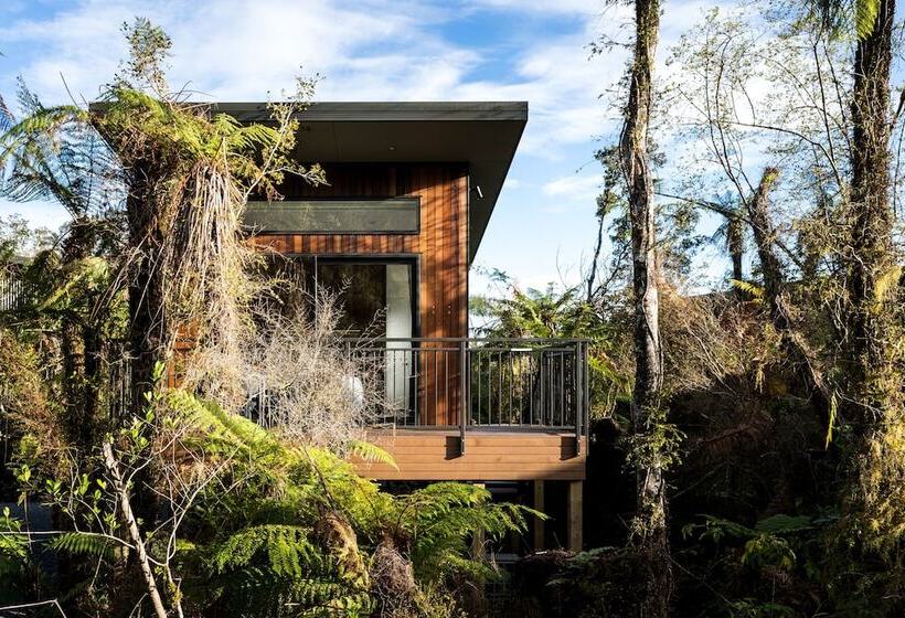 Fotos del hotel Rainforest Retreat:  39