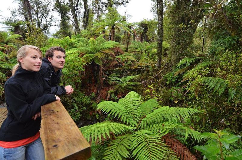 Fotos del hotel Rainforest Retreat:  24