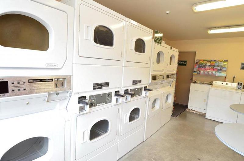 Fotos del hotel Rainforest Retreat:  73