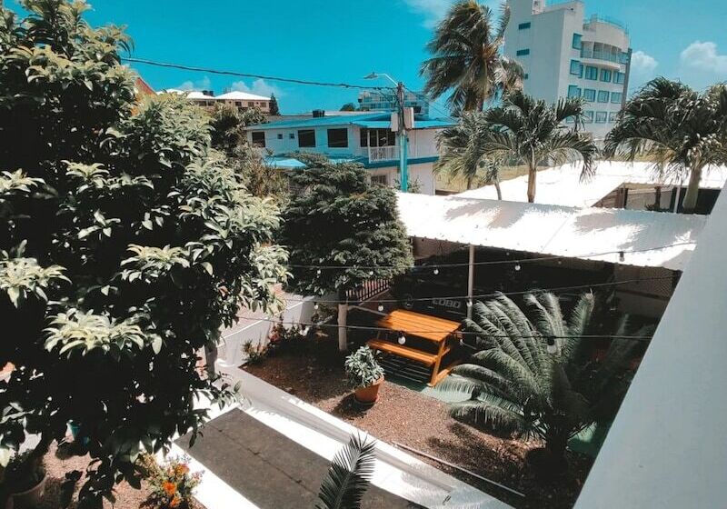 پانسیون Galyrod House