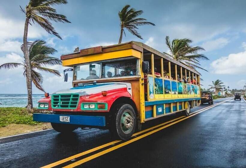 پانسیون Galyrod House