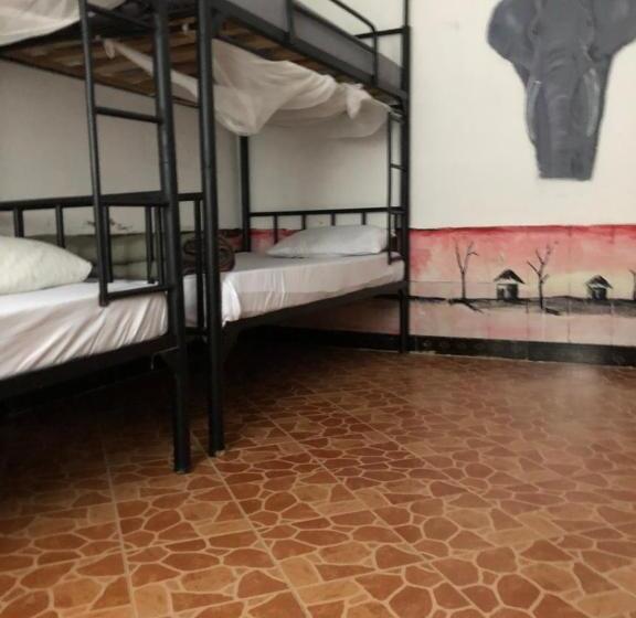 The Greenhouse Hostel Arusha Tanzania