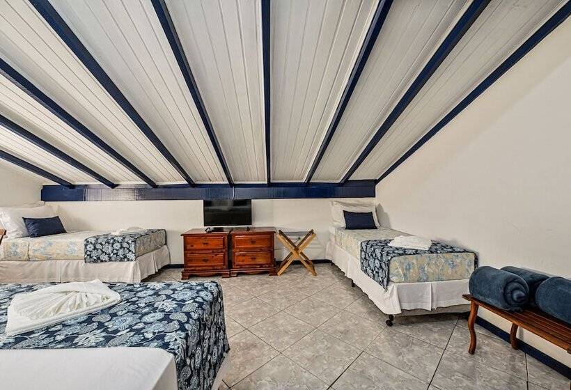 ホテル Pousada Da Tina