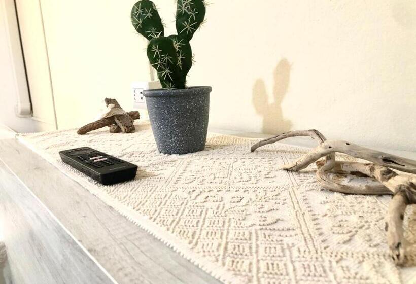 پانسیون City B&b