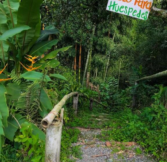 پانسیون Room In Lodge   Family Cabin With Lake View