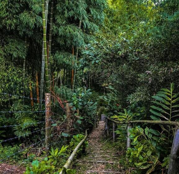 پانسیون Room In Lodge   Family Cabin With Lake View