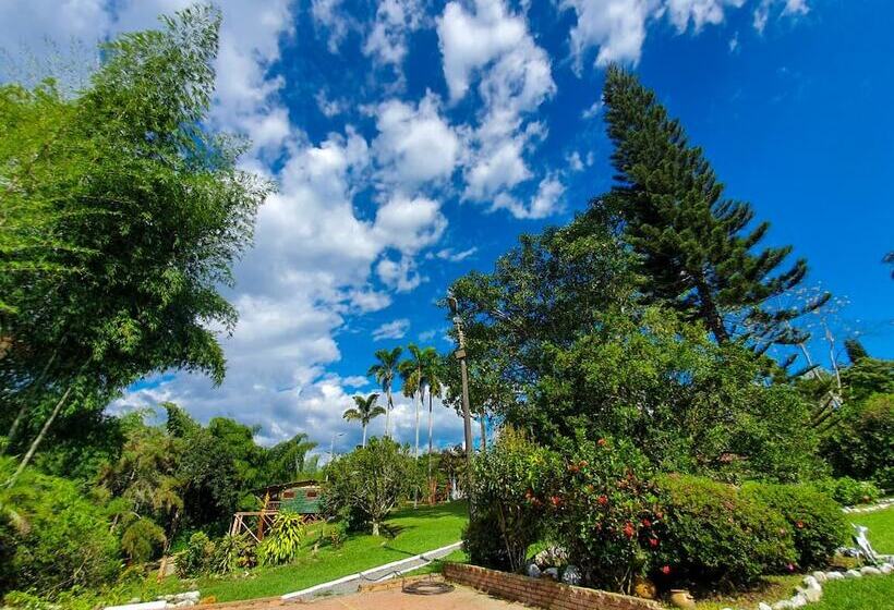 پانسیون Room In Lodge   Tree House Finca La Floresta Verde