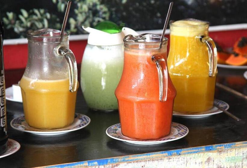 ユースホステル Pousada Beira Rio Cipó