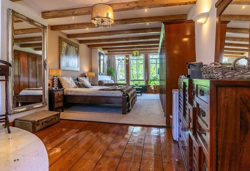 B&b Singel Suites