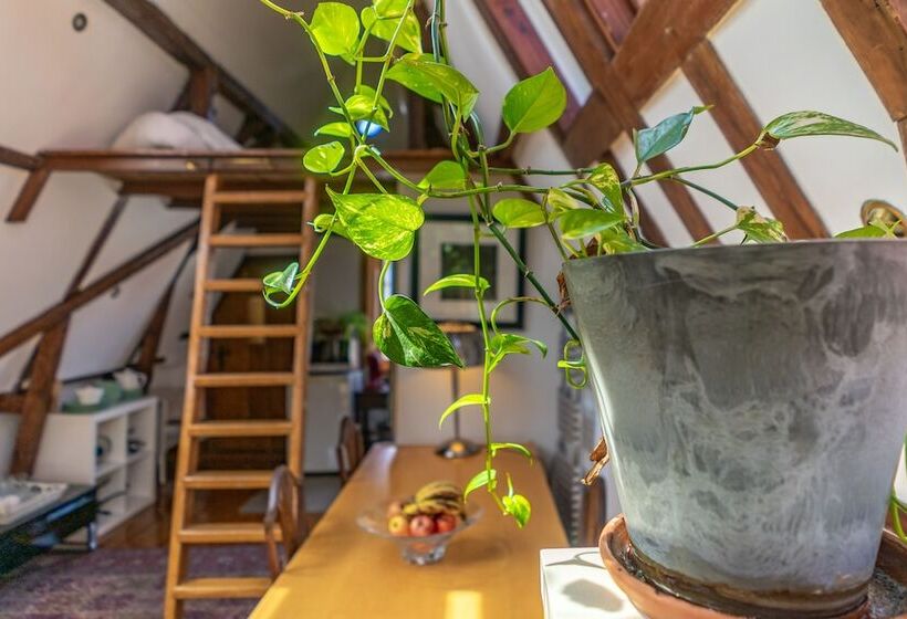 B&b Singel Suites