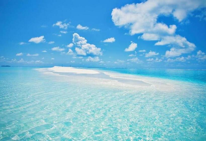 پانسیون Palm Gate Maldives
