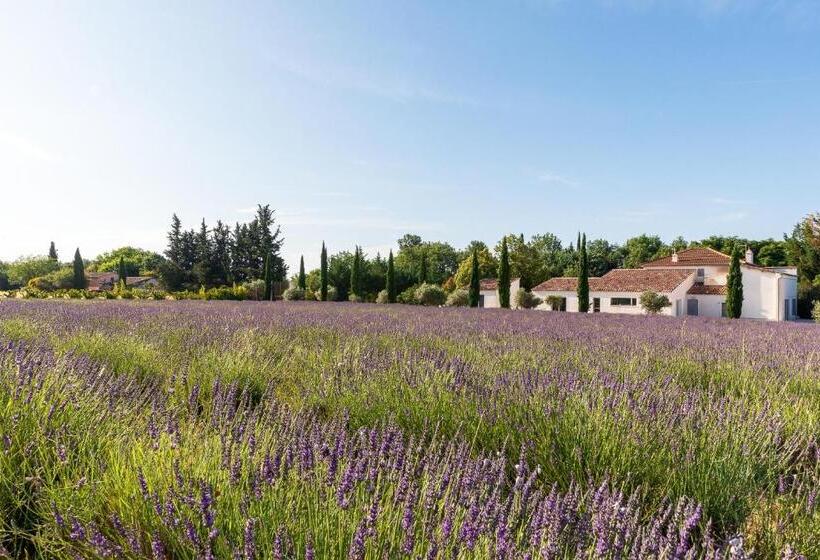 پانسیون Bastide De Damien