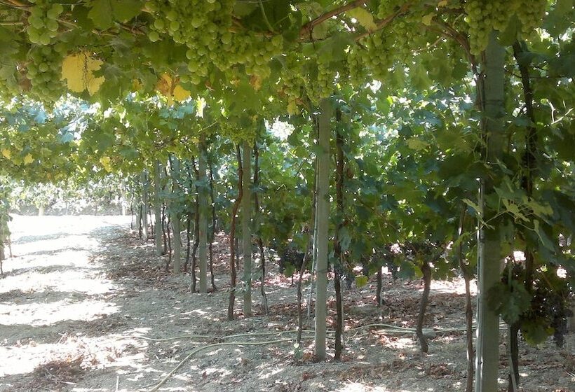 Agriturismo La Collina Verde