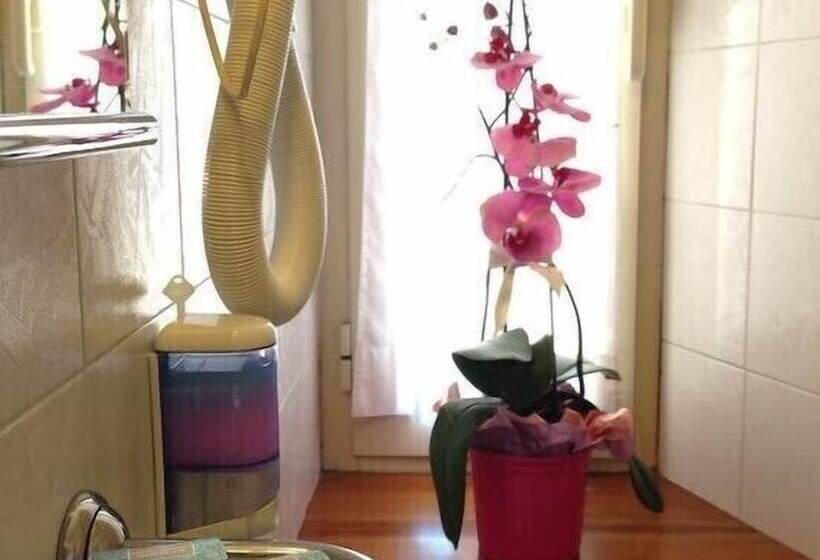 בית מלון כפרי 2000