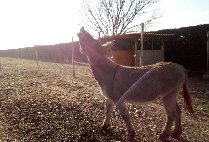 Fotos del hotel Agriturismo Alle Quattro Stagioni:  22 Fotos del hotel Agriturismo Alle Quattro Stagioni:  22