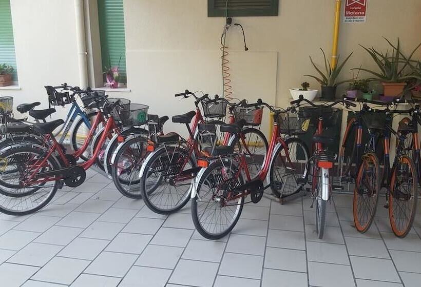 Fotos del hotel Ambra:  20