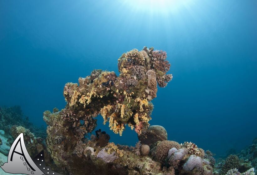 هتل Aqaba Adventure Divers Village