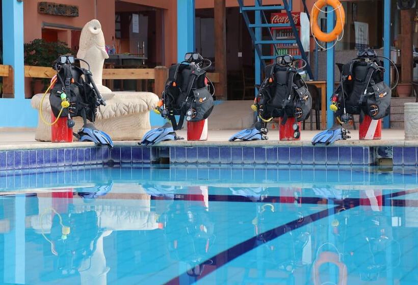 هتل Aqaba Adventure Divers Village