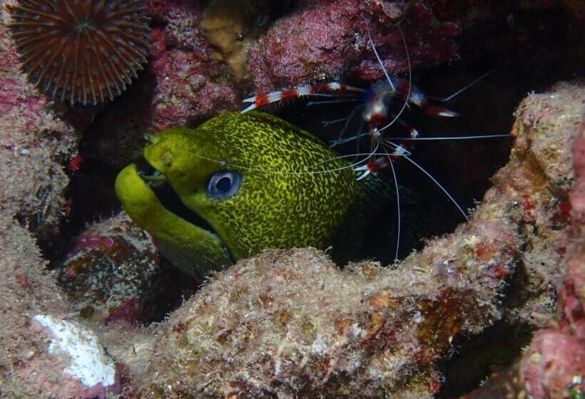 هتل Aqaba Adventure Divers Village
