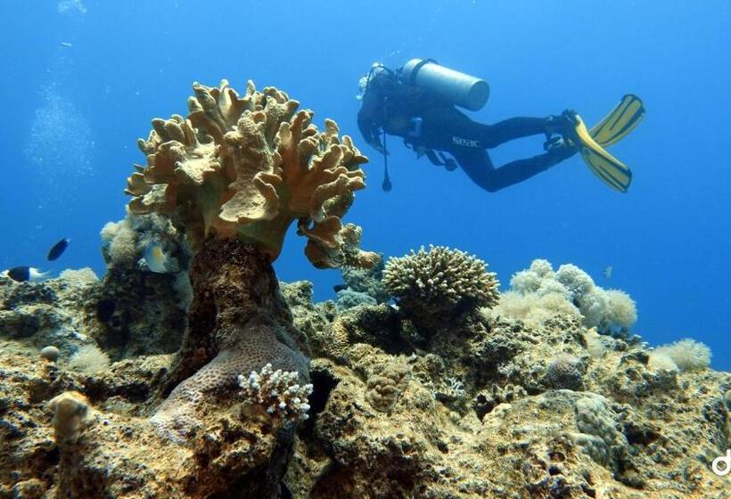 هتل Aqaba Adventure Divers Village