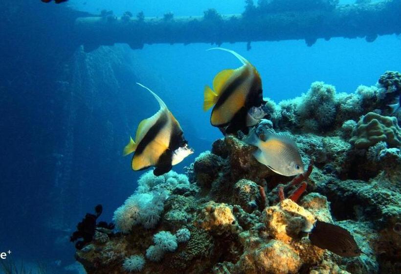 هتل Aqaba Adventure Divers Village