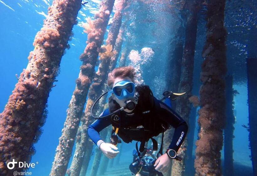 هتل Aqaba Adventure Divers Village