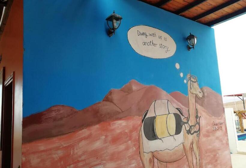 هتل Aqaba Adventure Divers Village