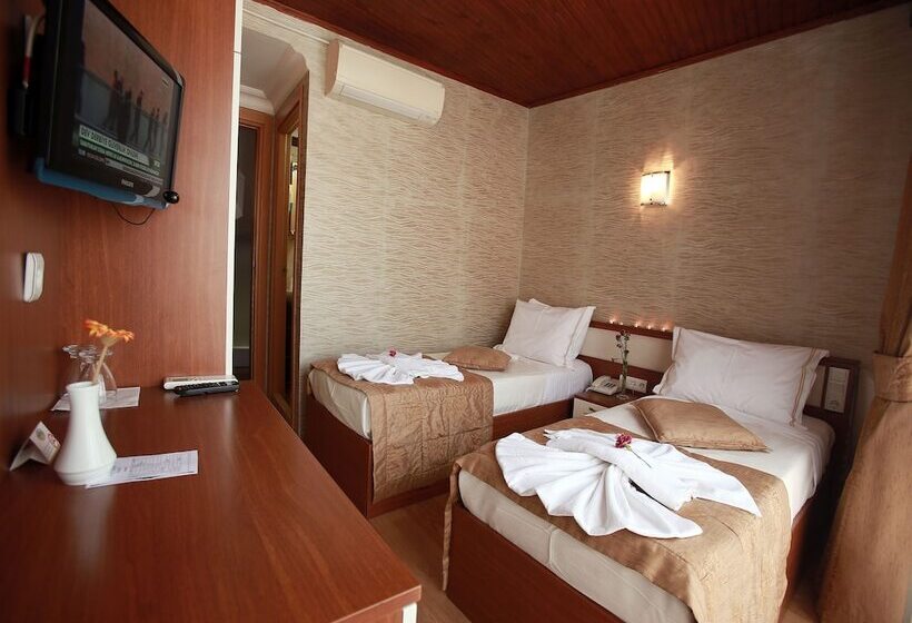 Fotos del hotel Arife Sultan:  6