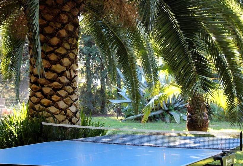 هتل Hôtel Du Patriarche