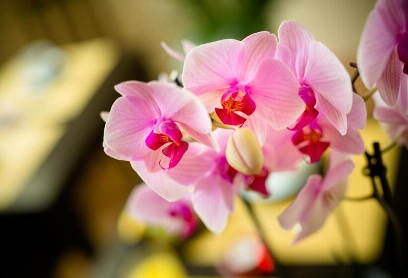 هتل Locanda Orchidea