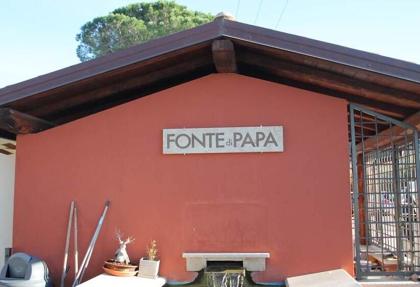 Fotos del hotel Star:  12