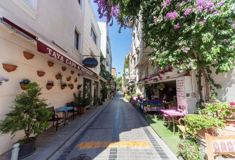 Fotos del hotel Tayahatun:  8