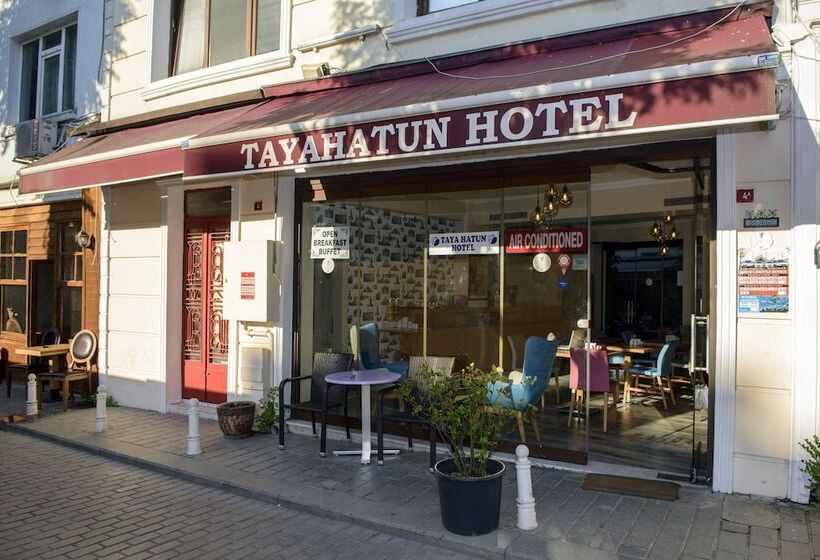 Fotos del hotel Tayahatun:  21