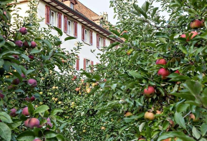اقامتگاه Kloster Dornach / Basel
