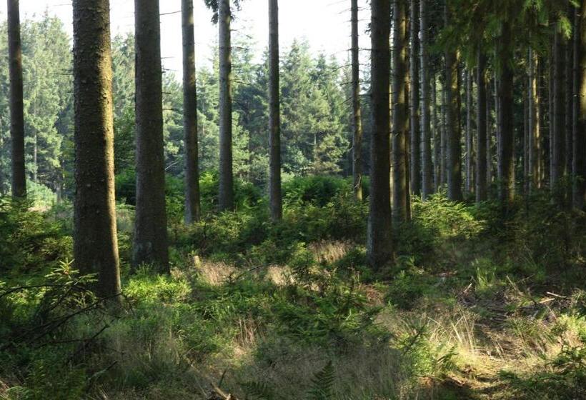 پانسیون Le Clos Du Cerf   Le Sous Bois