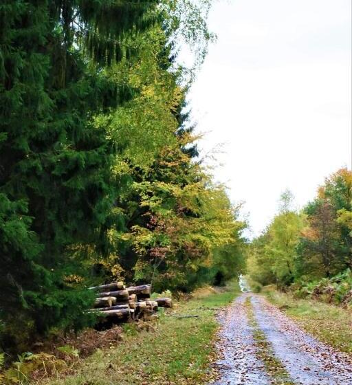 پانسیون Le Clos Du Cerf Le Sous Bois