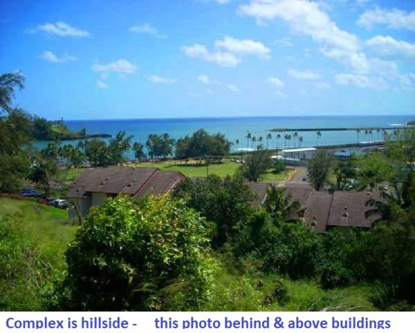 Banyan Harbor