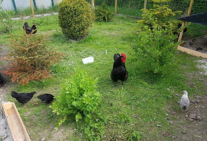 مبيت وإفطار Hausnordlicht Dachspitze