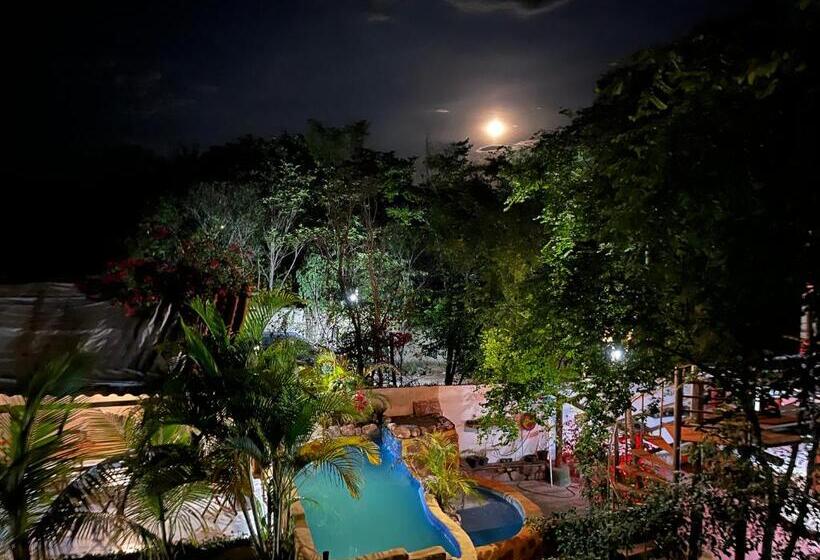 פנסיון Villa Almm