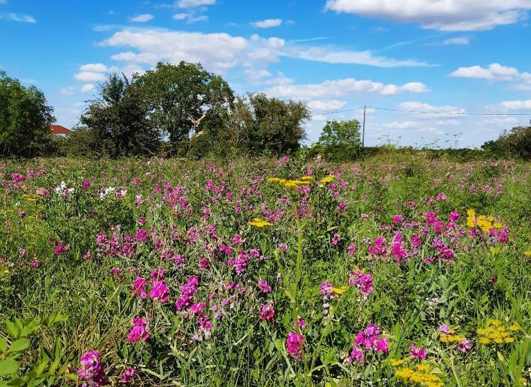 مبيت وإفطار Château De Charnizay