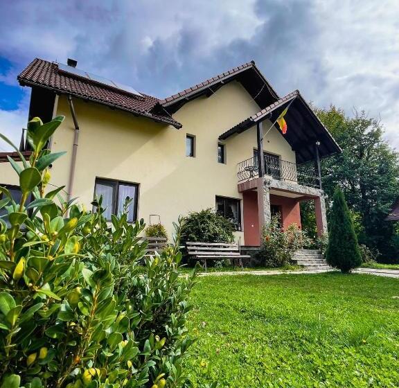 Pensiunea 7 Brazi
