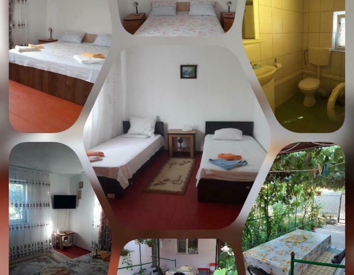 پانسیون Casa La Catalin