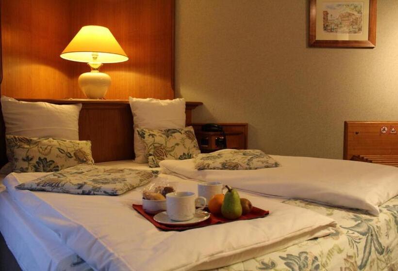 酒店 Hôtel Le Mittelwihr