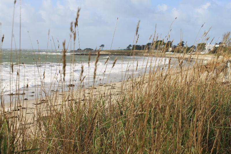 هتل & Restaurant  Les Mouettes  Larmor Plage  Proche De Lorient