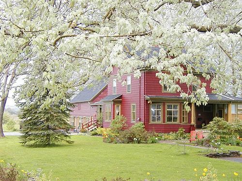 فندق The Dragonfly Inn