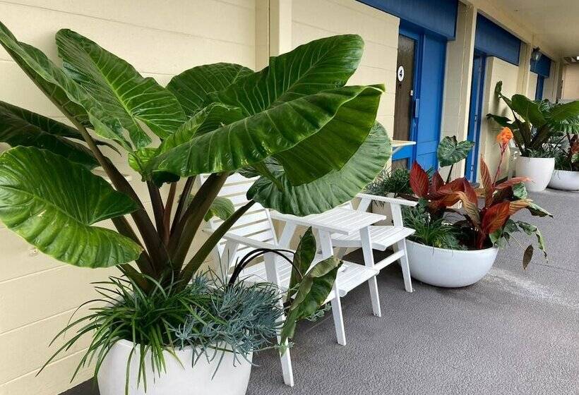 South Seas Motel