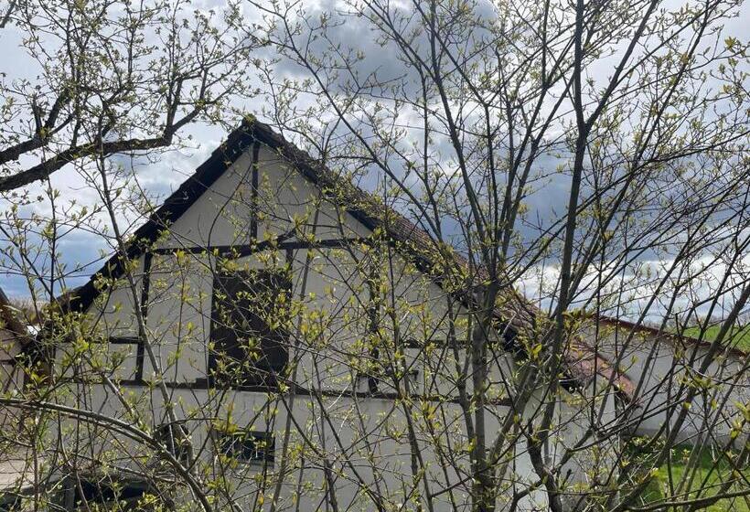 Отель Landgasthof Zum Seehof